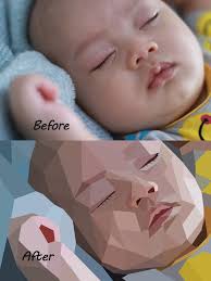 Draw you low poly art for your love one present by Zoeqjane