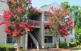 Florist, gift baskets · $$ · closed · 5 on yelp. Houses For Rent In Westminster Sc Rentals Com