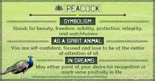 What Does A Peacock Symbolize A Peacock Symbolizes Beauty Freedom Nobility Integrity Visi Spirit Animal Meaning Animal Totem Spirit Guides Animal Symbolism