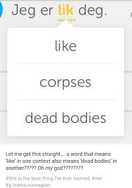 The best norway memes and images of june 2021. 36 Norwegian Memes Ideas Norwegian Memes Funny