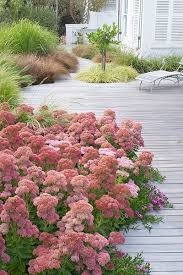 Franchesca Watson Garden Designer Garten Bepflanzung Garten Pflanzen