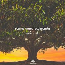 Pin En Medicina Para El Alma