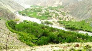 The national front of afghanistan (nfa; An Unlikely Fight To Protect Nature In War Torn Afghanistan Global Ideas Dw 12 07 2016