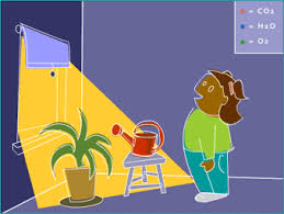 Do you have a great website or application, but your users are bored at loading time? Room With Molecules In Motion Photosynthesis Cell Processes Cell Biology