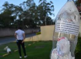 Curso transferido agosto (a confirmar). Mulher Cria E Espalha Porta Sacolinhas Em Sua Rua Para Diminuir Sujeira De Cachorro Portal Do Dog