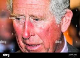 Hillsborough, Northern Ireland. 1 Apr 2014