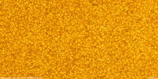 Cottontail onlyfans leak According @cottontailva biography