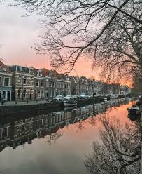 Haarlem is the destination for a day out or weekend away. The Best Things To Do In Haarlem In The Netherlands A Local S Guide