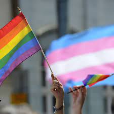 Here's What A Good Lgbtq Ally Looks Like - Vox