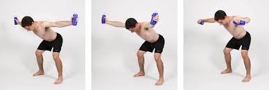 Image result for Shoulder Strength Exercises