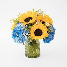 Check spelling or type a new query. Sunflower Fields In Denver Co Flowers By Coley Denver