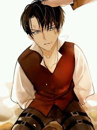 Birth Of Livai Levi Ackerman Attack On Titan Anime Attack On Titan Levi