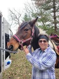 Full service horse boarding in central Wisconsin available