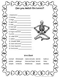 Match Those Bones Worksheet Skeletal System Activities Human Body Science Human Body Systems