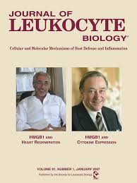 Lee felix (이필릭스) korean name: Birth And Life Of Tissue Macrophages And Their Migration In Embryogenesis And Inflammation In Medaka Grabher 2007 Journal Of Leukocyte Biology Wiley Online Library