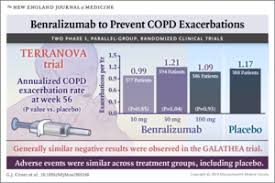 Image result for COPD Exacerbation Prevention