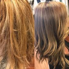 Elysian Salon Color Studio Hobe Sound Fl 772 546 0102 Organic Hair Color Organic Hair Healthy Hair