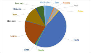 Image result for Vernonia musofensis