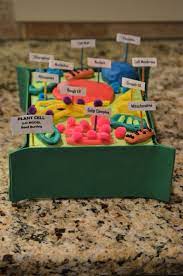 Plant cell 7th grade project. Reed S 7th Grade Advanced Science Plant Cell Project 3 D Animal Cell Project Plant Cell Project Cells Project