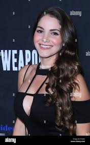 Los Angeles Premiere of 'Weaponized' - Arrivals Featuring: Brittany  Elizabeth Williams Where: Hollywood, California, United States When: 25 Feb  2016 Stock Photo - Alamy