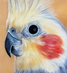 Joanne Barby Artist Parrots Art Animal Paintings Bird Art