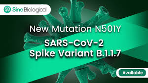 The new coronavirus strain, b117, was announced by uk prime minister boris johnson shortly after the uk began mass vaccination drives. Reagent Resource For Studying Sars Cov 2 Variants Lab Equipment Technology Networks