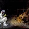 Just 3 kilometers from the plant, the city of pripyat was built. 1