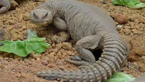 Md rasul (@minyakdhabaslimenjadijadi) • Threads, Say more