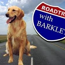 A pet hotel named the barkley boutique. Barkley Perl On Twitter Has Anybody Seen My Baseball Barkleyperl The Barkley Pet Hotel And Day Spa Https T Co 0p2tjjrg1i