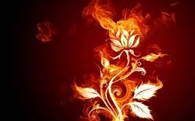 30 fire wallpapers backgrounds images pictures design trends premium psd vector downloads abstract backgrounds wallpaper rose wallpaper