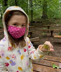 FY 2020 Annual Report