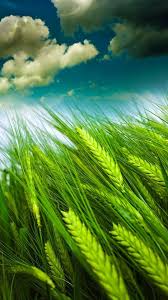 wallpaper moto g2 wallpaper collection wallpaper moto g2 wallpaper collection