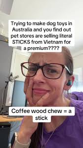 Stop Paying for Sticks: Dog Toys You Can DIY