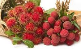 Which is sweeter lychee or rambutan?