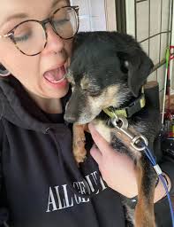 Lincoln County TN Pets LOST & FOUND