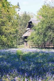 Bluebell Woods Walk At Kew Gardens The Wanderblogger Kew Gardens London Kew Gardens Kew