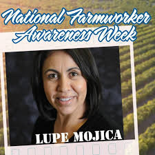 Adrienne Howell, CPA