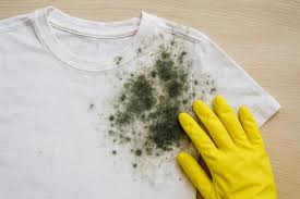 Κορυφαίοι ενδιαφέροντες φυσικοί τρόποι για να απαλλαγείτε από τη μούχλα στα ρούχα