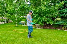 This can it may be that this decision is easy for you: Professional Lawn Care Vs Do It Yourself Which Is Best For You