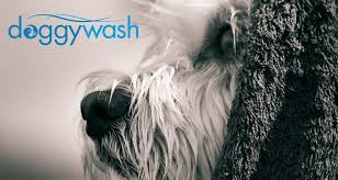 生徒・保護者の皆様へ 2020/05/20 19:15 更新 緊急事態宣言が解除されたとはいえ、新型コロナウィルス感染拡大防止に向けては、依然として感染予防に努めた行動が求められております。 Do You Need A Sink To Wash Your Dog In