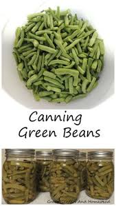 Canning Green Beans Canning Recipes Green Beans Canning