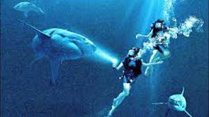 фильм синяя бездна смотреть онлайн бесплатно в хорошем качестве Hd Bezdna Twitch