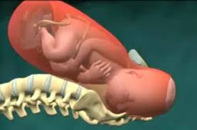 Selamat siang, a.keputihan adalah lendir yang diproduksi oleh vagina. Tanda Tanda Akan Melahirkan Bidanku Com