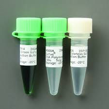 endo-BCN-PEG2-NHS ester 99+%