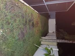 ¡bienvenido a tu nuevo walmart! Sevin Ready To Use Spray Garden Insect Killer 32 Fl Oz Walmart Com Walmart Com