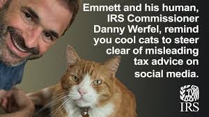 Ashley Prigge's Instagram, Twitter & Facebook