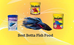 Best Fish Baby Food Best Fish Based Dry Dog Food Uk Best Fish Brain Food Best Fish Dog Food Best Fish Dog Food For All Fish Recipes Betta Food Food Reviews