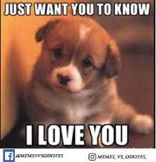 Love you are amazing meme. I Love You My Beautiful Wife Memes