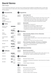 data analyst resume examples 2020 (also