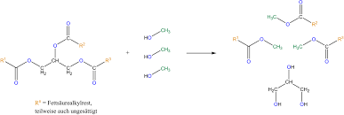 Uracil (u, ura) ist eine der vier wichtigsten nukleinbasen in der rna, zusammen mit adenin, cytosin und guanin.in der dna steht an seiner stelle thymin.es ist eine heterocyclische organische verbindung mit einem pyrimidingrundgerüst und zwei substituenten (sauerstoffatome an den positionen 2 und 4). Biodiesel Organische Chemie Abitur Vorbereitung